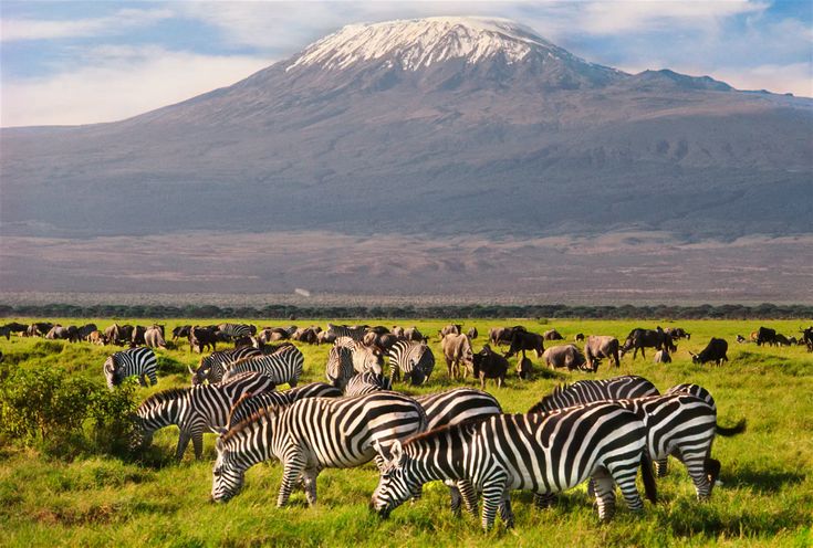 5 Days Tsavo East, Tsavo West & Amboseli Safari from the Beach